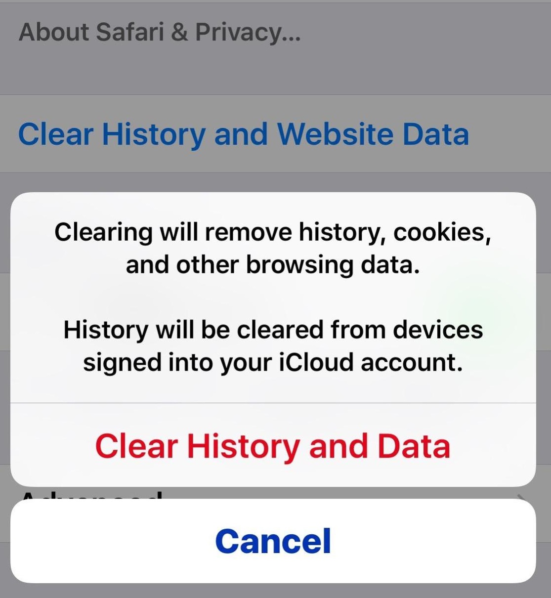 Eliminar el historial y el almacenamiento de datos de Safari iOS