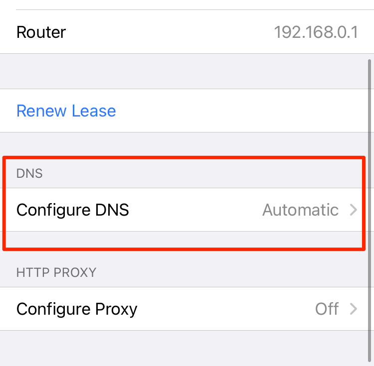 Configure los parámetros DNS en una conexión WLAN iOS